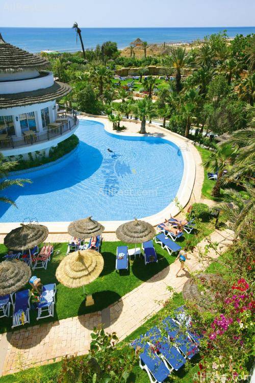Magic Life Africana Imperial 12